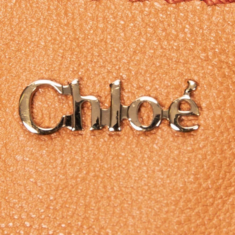 Chloé Elsie Satchel - Picture 10 of 11